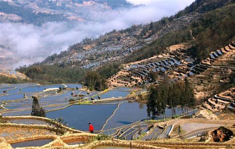 Yuanyang Hani Rice Terraces, Yunnan China