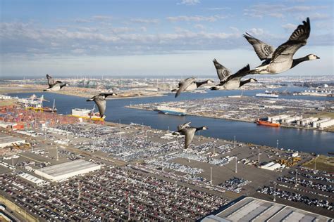 Port of Antwerp (@PortofAntwerp) | Twitter