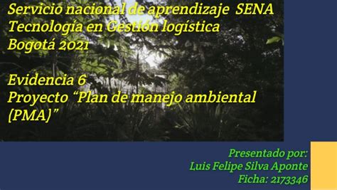 Evidencia Plan De Mejoramiento Ambiental