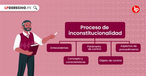 Proceso De Inconstitucionalidad Características Parámetro De Control