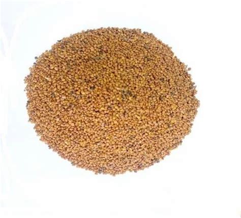 Natural Brown Brassica Spp Seed Mustard Oleoresin For Health Food At ₹ 1700 Kg In New Delhi