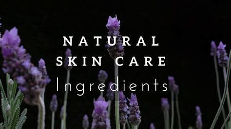 Natural Skin Care Ingredients: A List of the Most Common and Effective