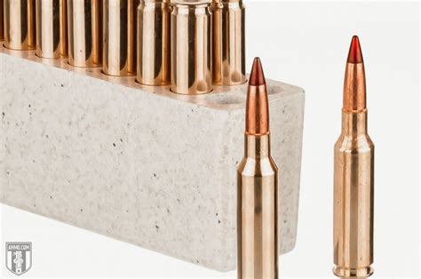 260 Remington Vs 6 5 Creedmoor Comparison By