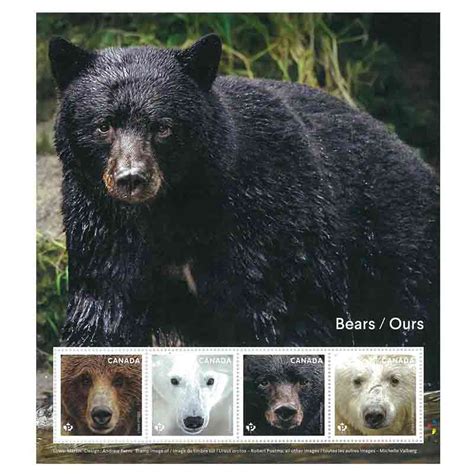 Canada Stamp 2019 Bears Ss Thai Stamps Usa