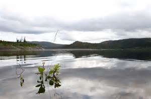 Analytiker spår svært lav strømpris i nord fram til neste vinter