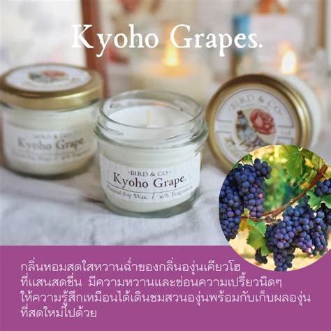 เทียนหอมไขถั่วเหลือง กลิ่น Kyoho Grapes กลิ่นองุ่นเคียวโฮ Th