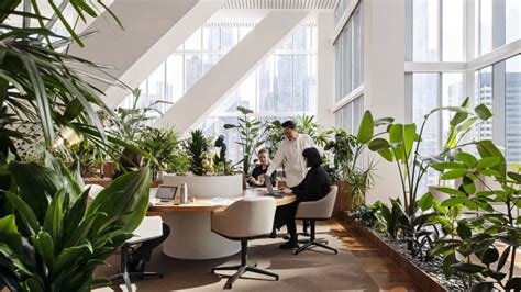 Hassell Back To The Future Of Work Can Design Boost Productivity