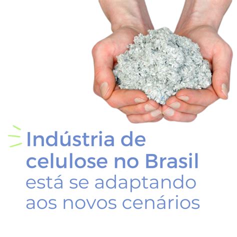 Indústria de celulose no Brasil está se adaptando aos novos cenários