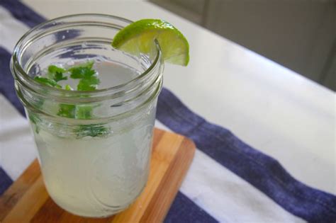 Cilantro Limeade Shutterbean