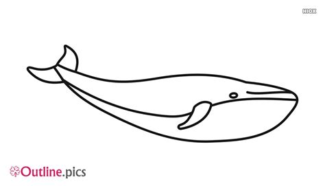 whale outline Whale clipart blue color pencil and in whale jpg - Clip ...