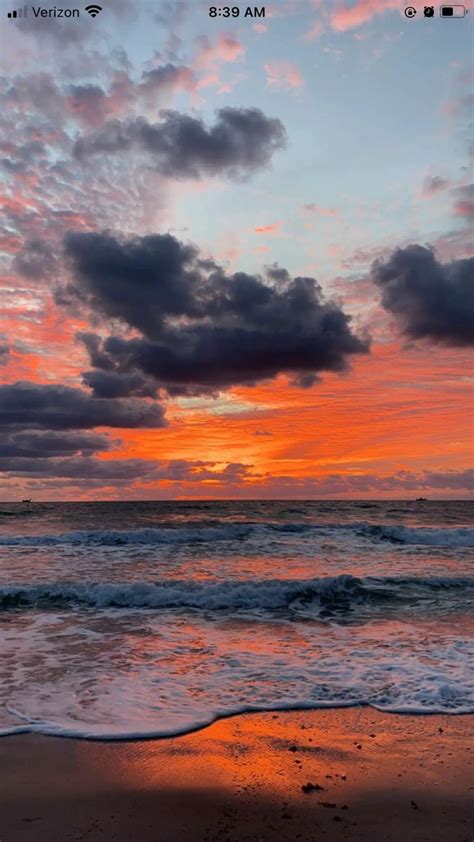 golden hour   beach