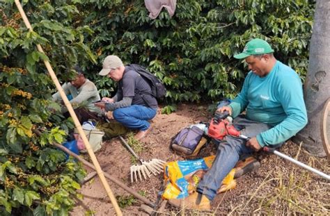 Trabalhadores S O Resgatados Nos Estados De Minas Gerais E Piau