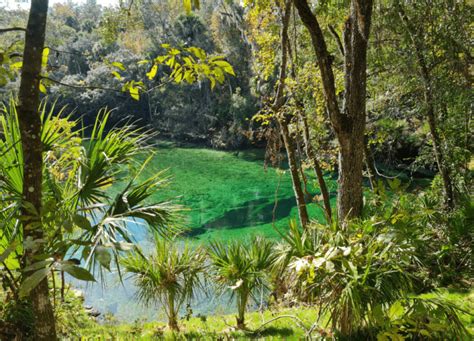 Visit Blue Springs Florida: A Beautiful State Park - Gallivanting Laura