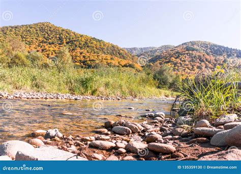 Autumn Flowing River Beside Forest Hills Stock Photo Image Of Flowing