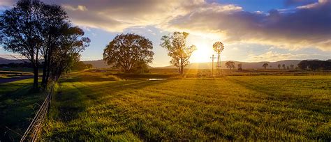 Golden Field - Beck Dunn Photography