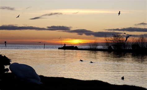 Lough Neagh | Northern ireland, Ireland, Lake