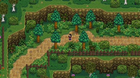 Stardew Valley Farm Layout Ideas