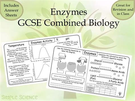 Enzymes And Factors Gcse Biology Worksheets Teaching Resources