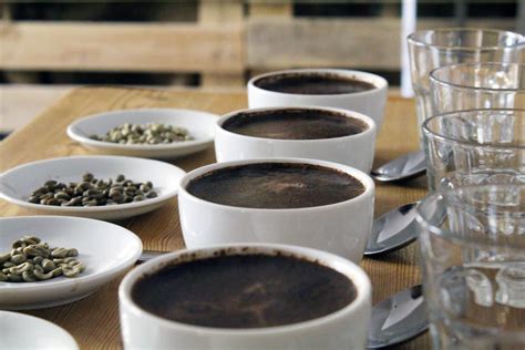 Gourmet Coffee Beans: Why Your Current Coffee Is Letting You Down