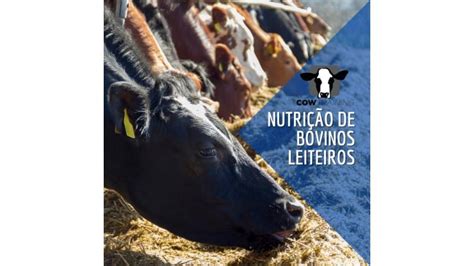 Nutrição E Manejo De Vacas Leiteiras Vale A Pena 【opinião Sincera】