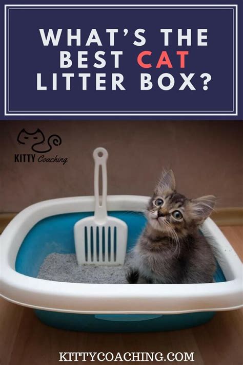 Whats the Best Cat Litter Box for Your Needs? | KittyCoaching.com