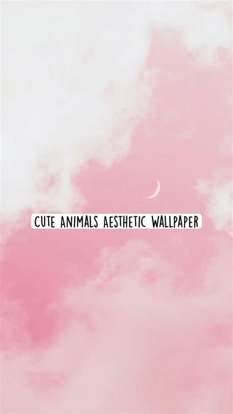 Cute Animals Aesthetic Wallpaper