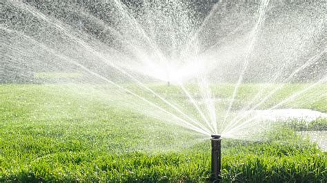 Beat The Heat Wave Tips For Keeping Your Lawn Green Tom S Guide