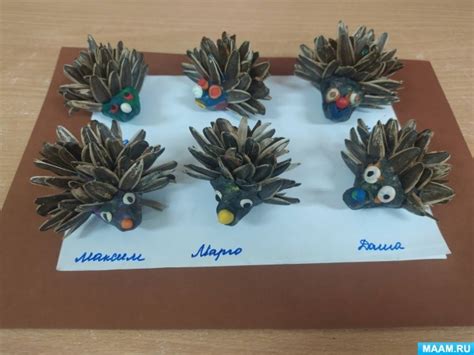 Конспект занятия в средней группе «Ёжик из скорлупы семечек подсолнуха ...