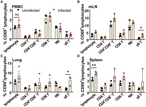 Frontiers Immune Cell Early Activation Apoptotic Kinetic And T Cell