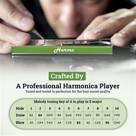 Snapklik.com : Polar Diatonic Melody Tuned Harmo Harmonica Key Of A