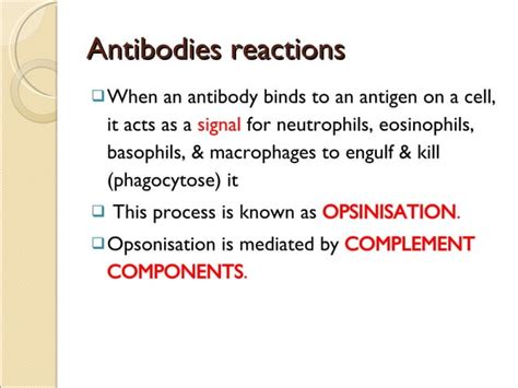 Antibodies Productions | PPT