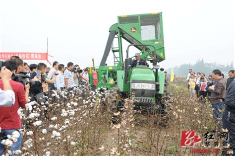 湖南省棉花生产全程机械化现场会在华容县召开新浪新闻