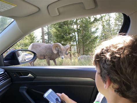 The Best Campsite At Redstreak Campground In Kootenay National Park