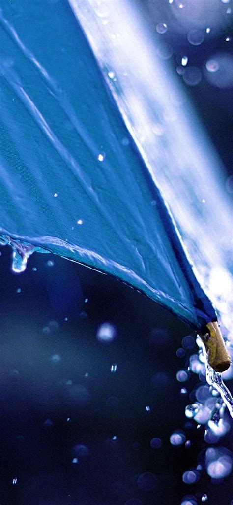 Rain Falling Onto Umbrella | Rain wallpapers, Iphone 6 plus wallpaper ...