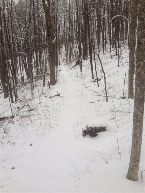 Snow Hiking Sassafras Mountain, South Carolina : r/hiking