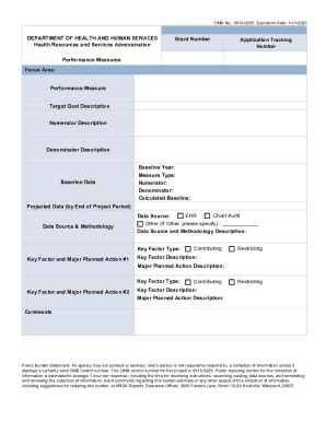 Fillable Online Bphc Hrsa Performance Measures Performance Measures