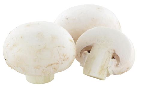 Goldmarie Wei E Champignons Mittel Online Kaufen Bei Mytime De