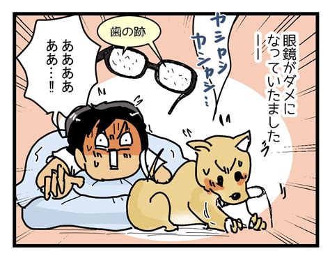 保護犬と 一緒に寝たかっただけなのに 運び屋ゆきたの漫画な日常