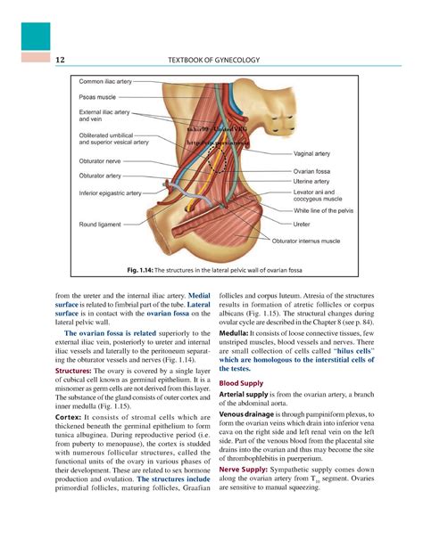 Dc Duttas Textbook Of Gynecology 4 12 TEXTBOOK OF GYNECOLOGY From The