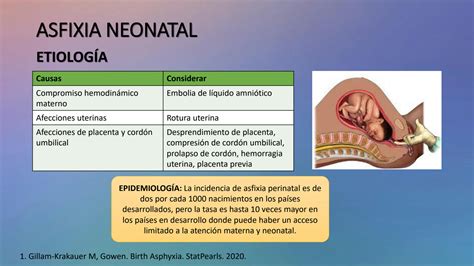 SOLUTION Revisi N Bibliogr Fica Asfixia Neonatal Y Reanimaci N