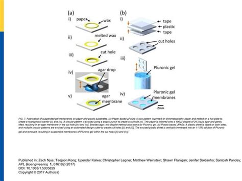 Fabrication Of Suspended Gel Membranes On Paper And Plastic Substrates