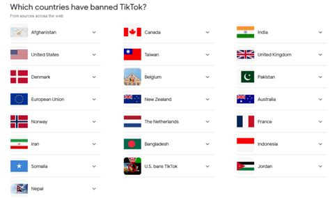 Which Countries Banned Tiktok And Why Worthview