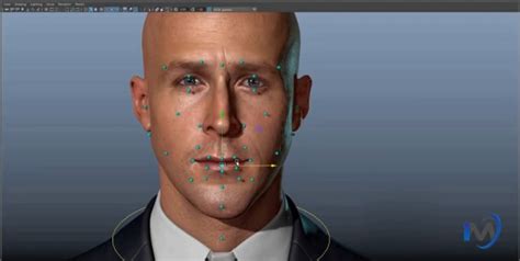 Do D Character Rigging D Facial Rig Facial Expression Auto Pro Rig