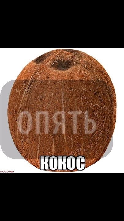 ДА БЛЕТ Я ТОЛЬКО НЕДАВНО РАЗОБЛАЧАЛ ТОГО ПЛАГИАТА А ТЕПЕРЬ УЖЕ И @Kot ...