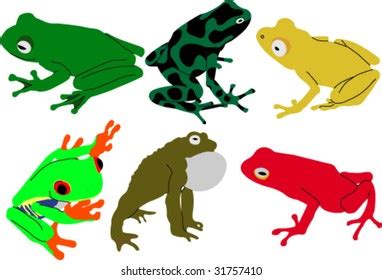 Cute Tree Frogs Poison Dart Frogs Stock Vector Royalty Free