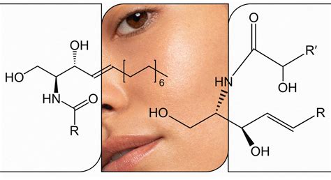 The Benefits Of Ceramides For Skin Youth To The People