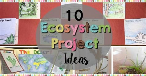 10 Ecosystem Project Ideas - The Owl Teacher