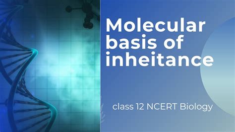 Molecular Basis Of Inheritance Part 2 The Search Of Genetic Material Class 12