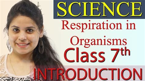 Introduction Chapter Respiration In Organisms Science Class Th