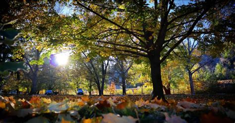 Unseasonably Cold More Daily Temperature Records Were Broken Across Bc On Sunday